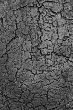 Mineral Three-Legged Side Table | Ethnicraft Triptic