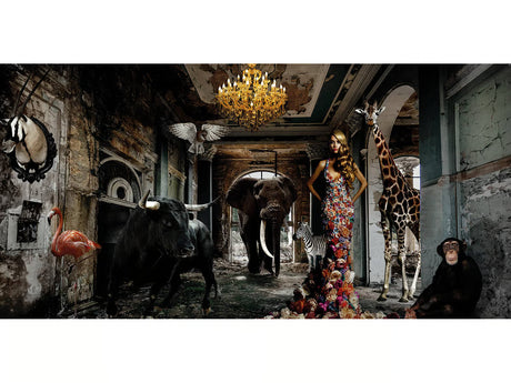    | Oroa.com