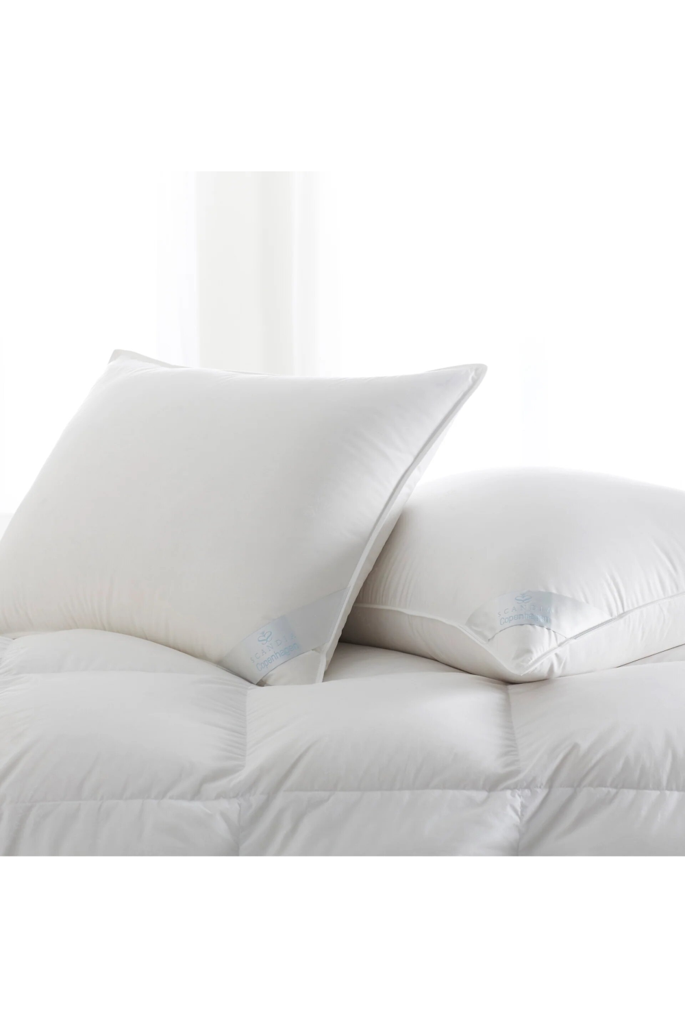 300TC Cotton Pillow | Scandia Copenhagen | Oroa.com