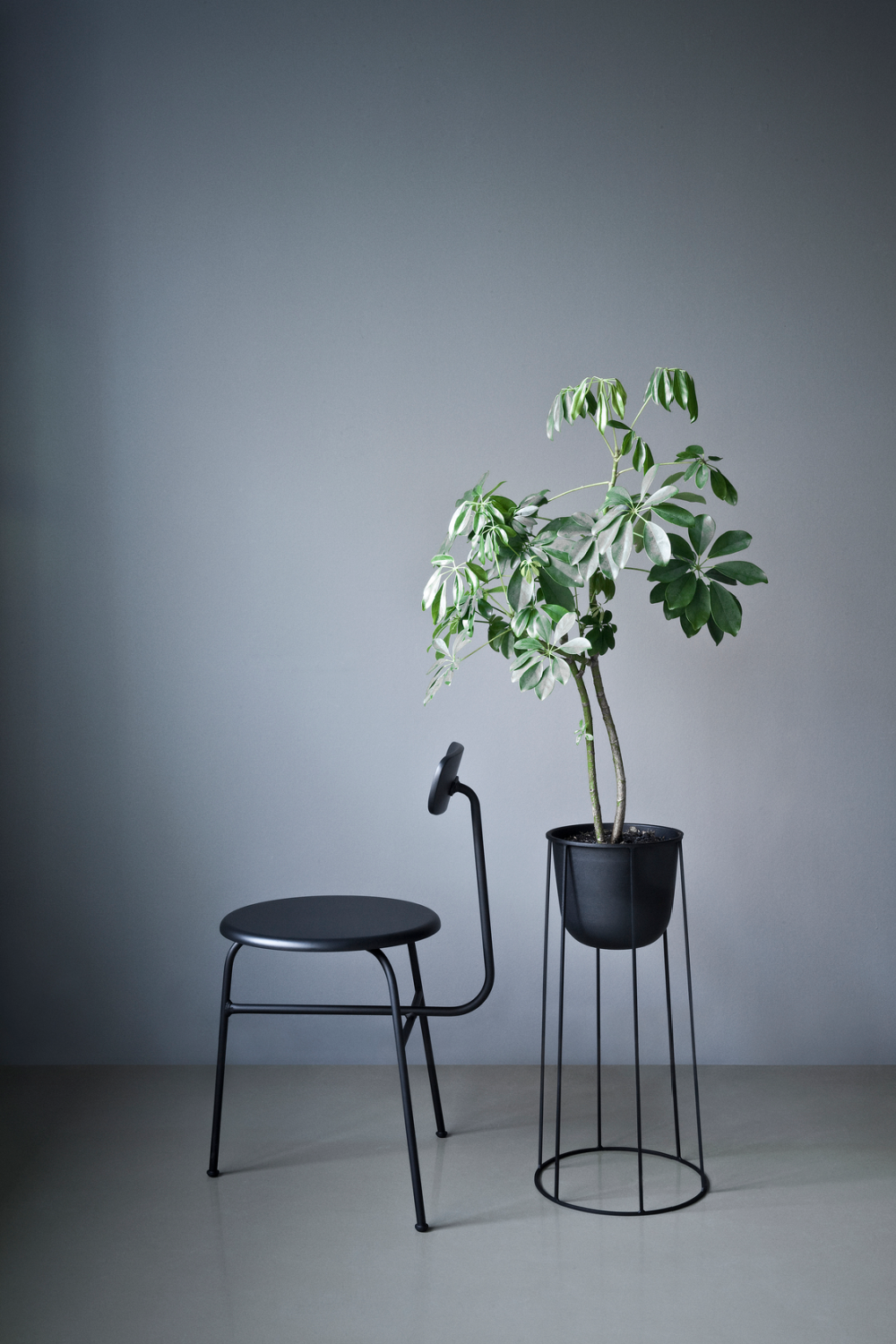 Short-Back Oak Dining Chair | Audo Copenhagen Afteroom