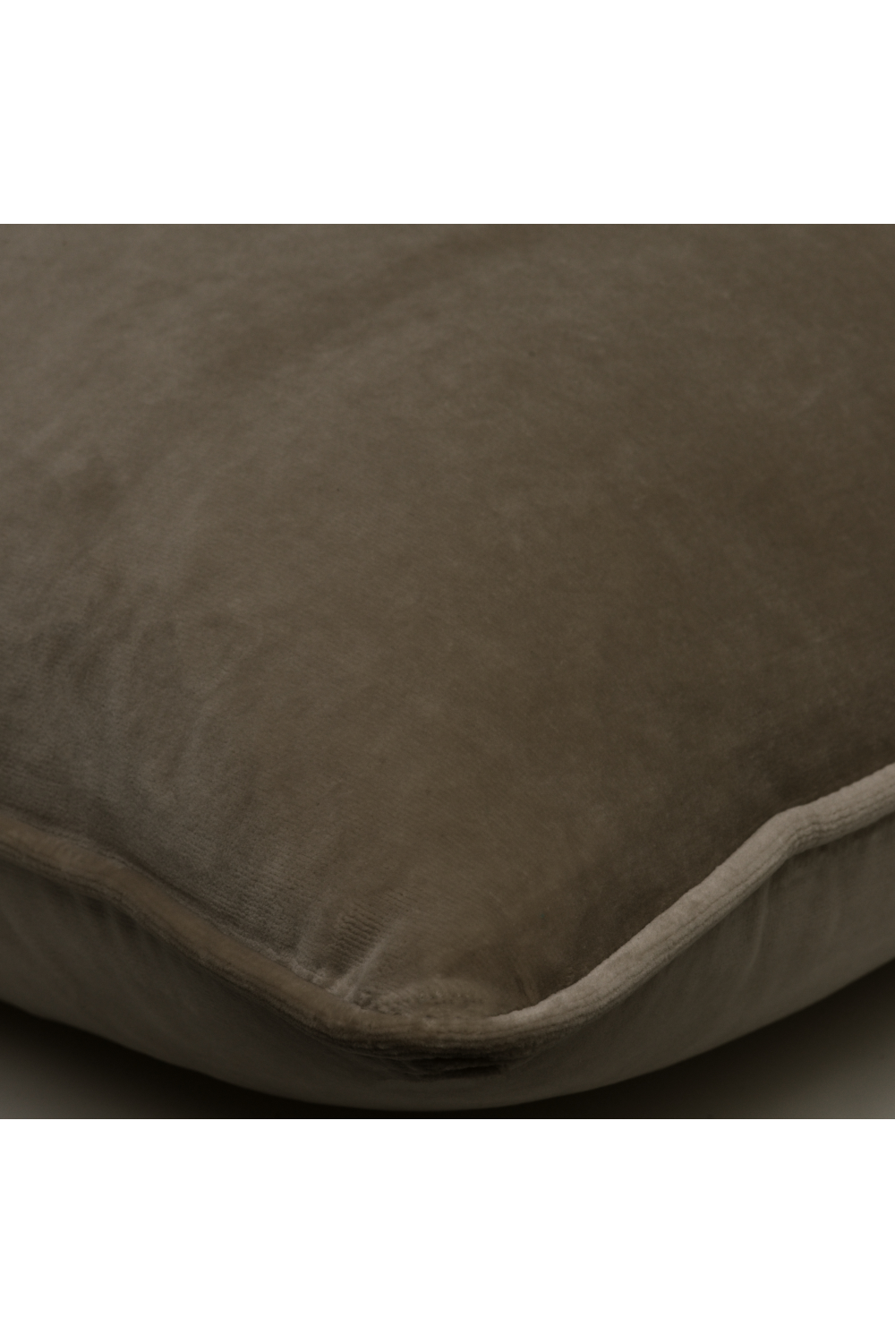 Cotton Velvet Cushion | Andrew Martin Medici | Oroa.com