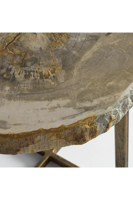 Round Petrified Wood Side Table | Andrew Martin Jonah | Oroa.com