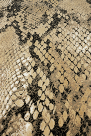 (Open box) Snake Skin Area Rug | Bold Monkey Keep Your Enemies Closer | Oroa.com