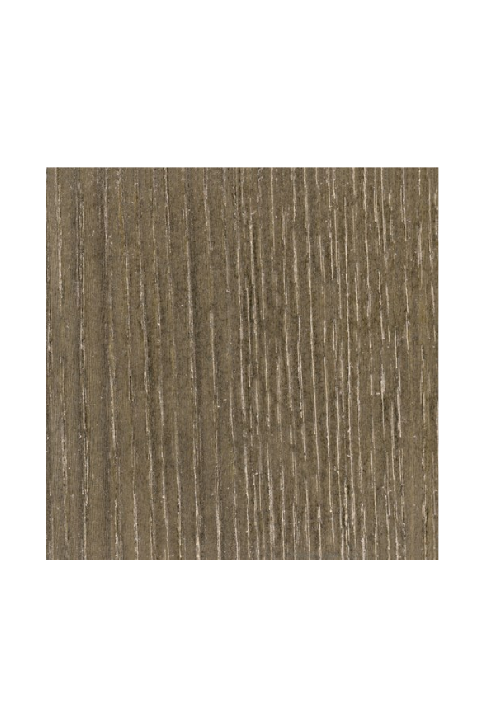   Modern Wingback Occasional Chair | Oroa.com