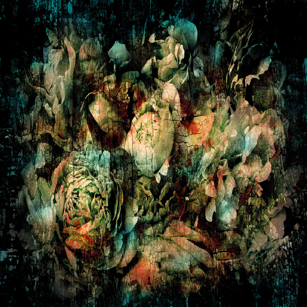   Abstract Plants Photographic Art | Oroa.com