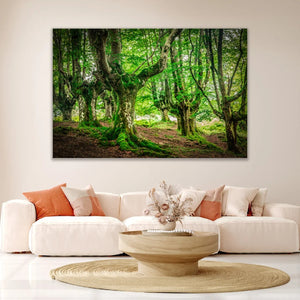   Lush Woodland Photographic Art | Oroa.com