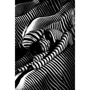   Modern European furniture - Contemporary Photographic Artwork - www.oroa.com | Oroa.com