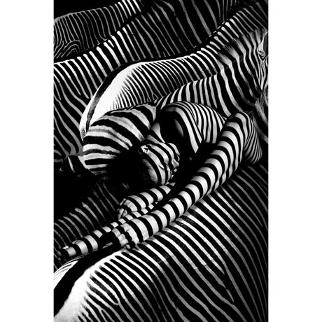   Modern European furniture - Contemporary Photographic Artwork - www.oroa.com | Oroa.com