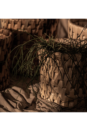 Round Weaved Abaca Basket Set (2) | dBodhi Semeru | OROA.com