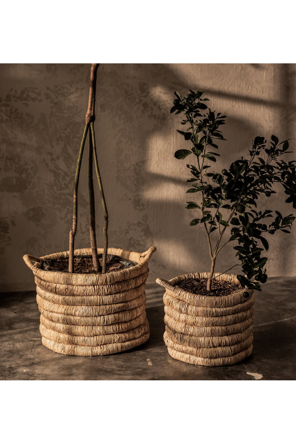 Round Abaca Basket With Handle | dBodhi Caterpillar Sago | OROA.com