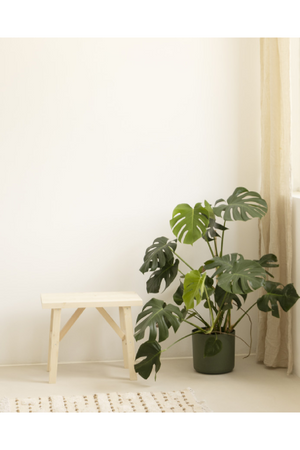 Scandinavian Wooden Stool | Decowood Siep | OROA.com