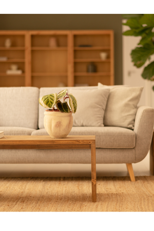 Angular Solid Wood Coffee Table | Decowood Telva | Oroa.com