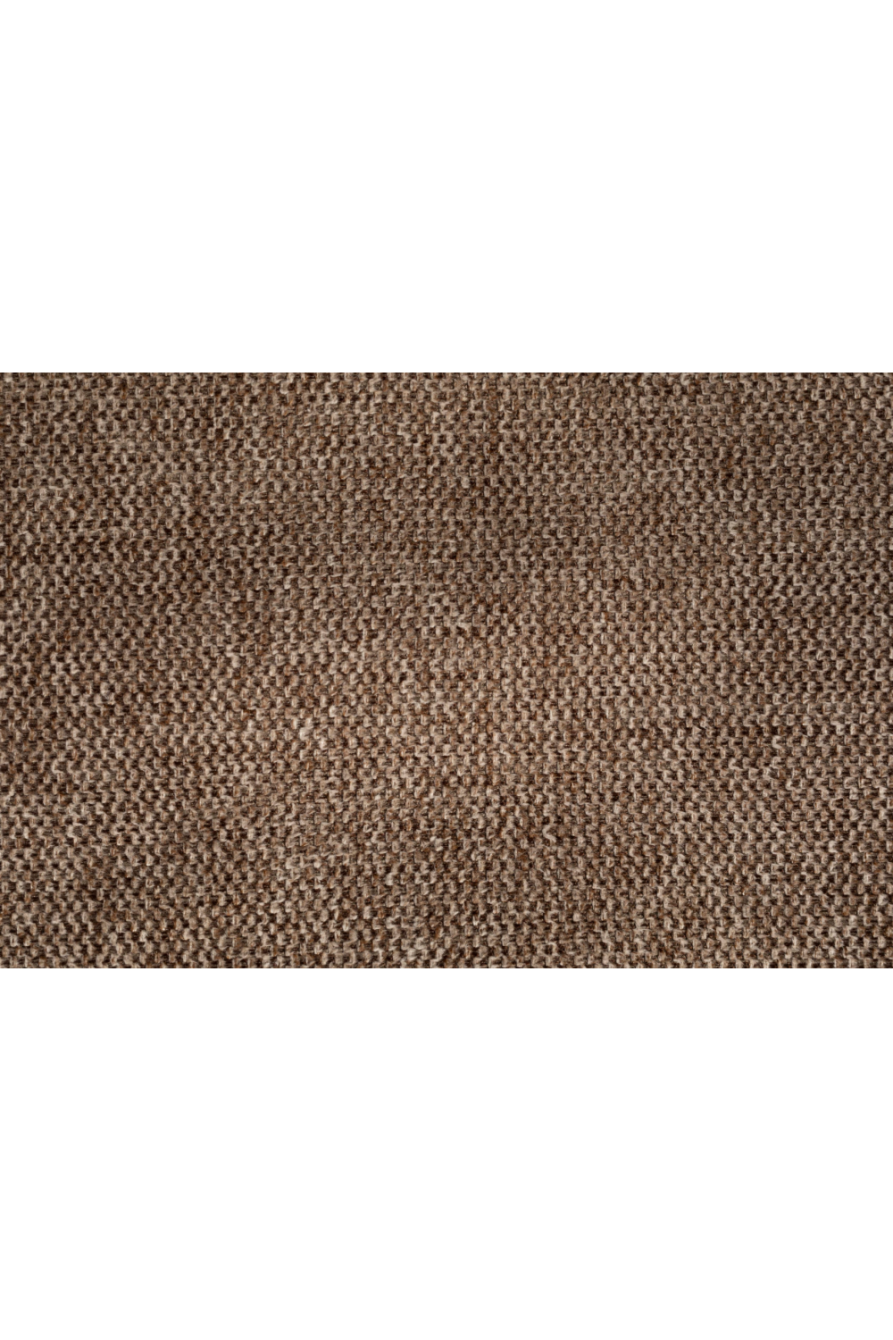 Upholstered Shell Dining Chairs (2) | Dutchbone Wakefield | OROA.com