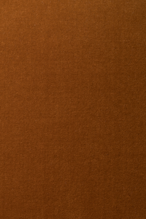 Camel Swivel Lounge Chair | Dutchbone Member |  Oroa.com