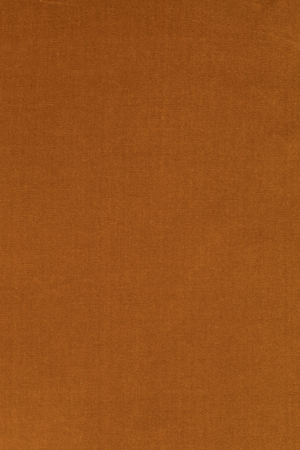 Amber Lounge Chairs | Dutchbone Glodis | OROA.com