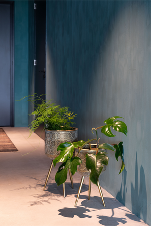 Brass Tripod Plant Stand M | Dutchbone Botanique | DutchFurniture.com