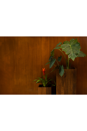 Mango Wood Plant Stand Set (2) | Dutchbone Ribble | OROA.com