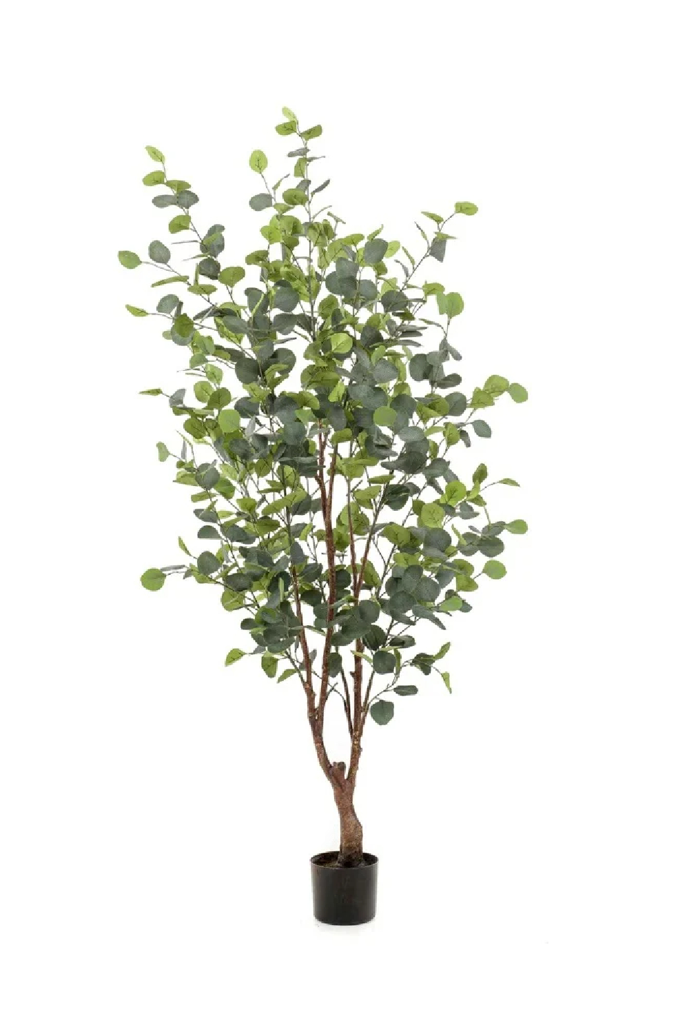 Potted Artificial Tree Set (4) M | Emerald Eucalyptus | Oroa.com 