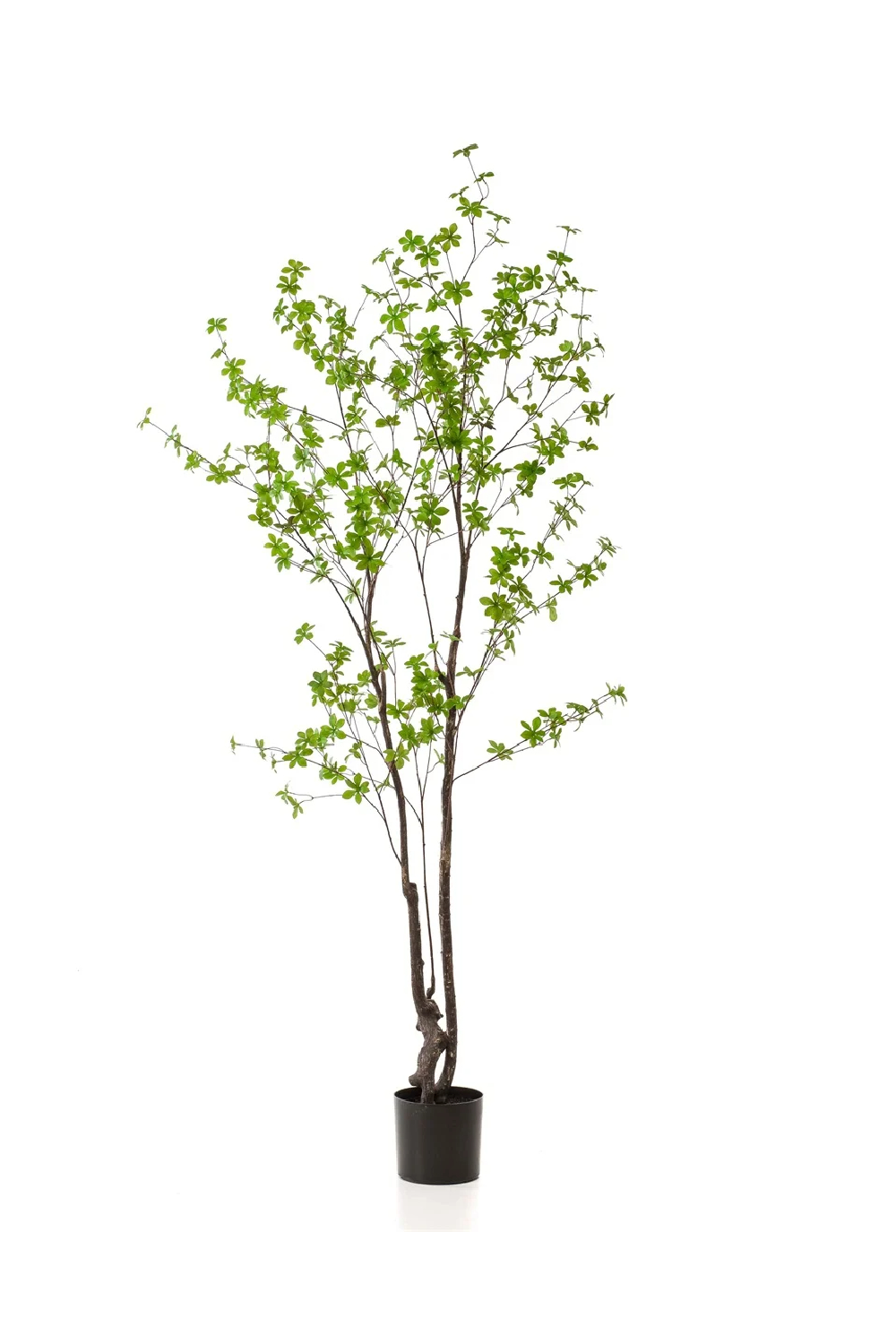   Green Herbaceous Faux Trees (2) M | Oroa.com
