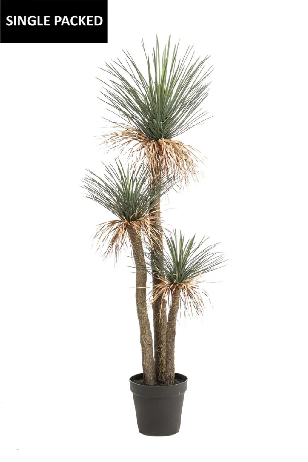 Green Crowned-Leaf Faux Plant | Emerald Yucca Rostrata| Oroa.com 