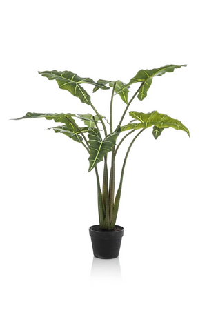 Arrow-Shaped Leaves Faux Houseplants (2) L | Emerald Alocasia | Oroa.com 