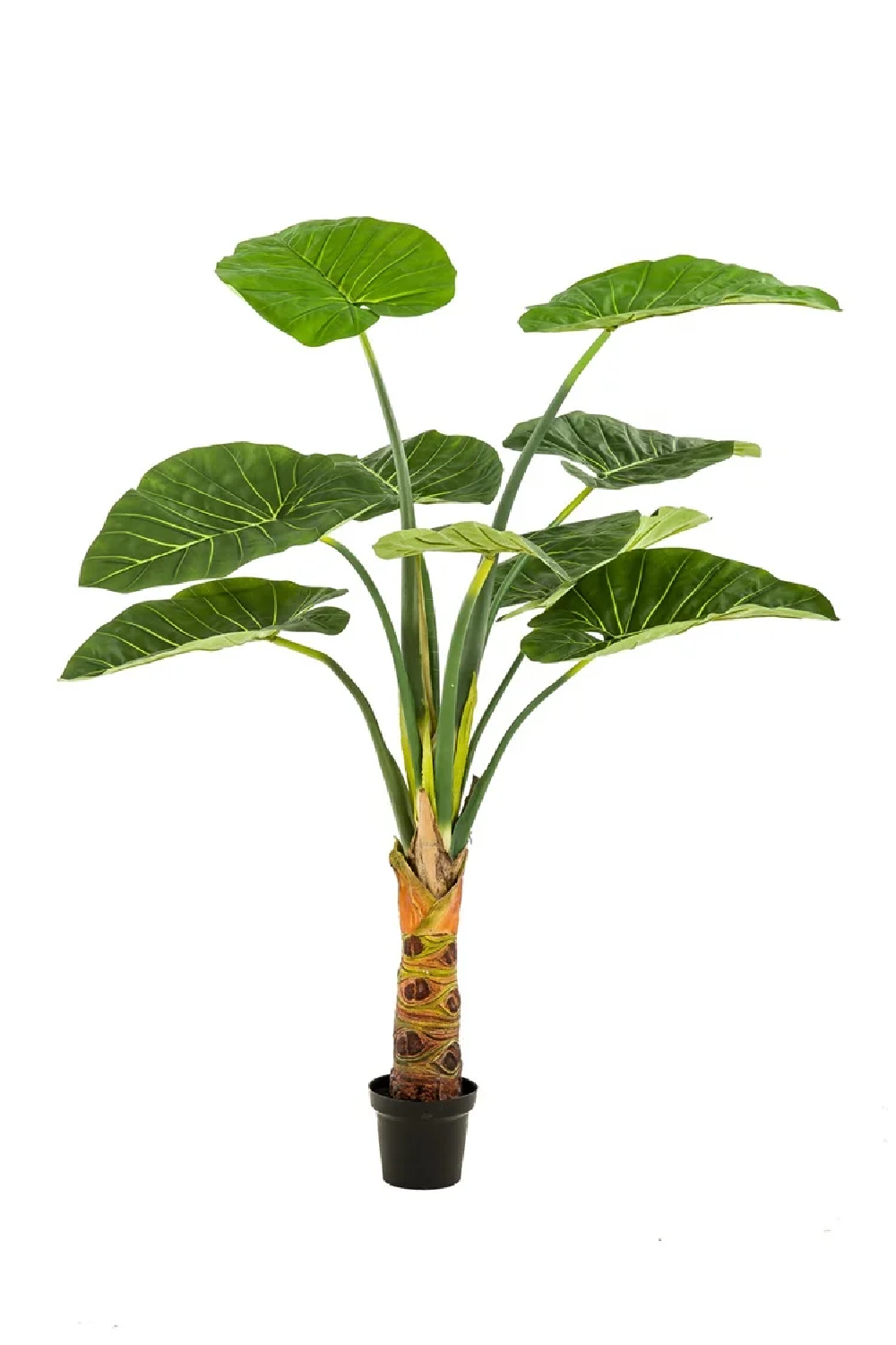 Broad-Leaved Faux Houseplants (2) | Emerald Alocasia | Oroa.com