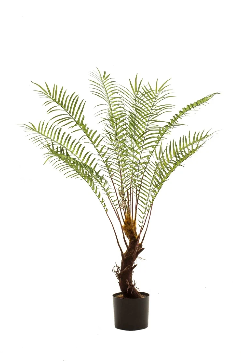 Faux Green Tropical Plants (2) | Emerald Dicksonia | Oroa.com