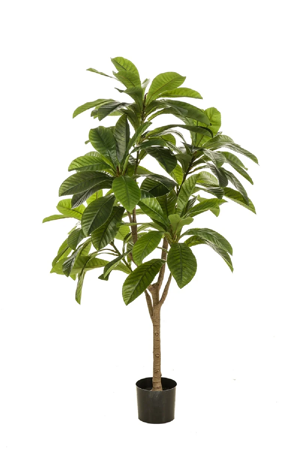 Potted Faux Tropical Trees (2) | Emerald Frangipani | Oroa.com