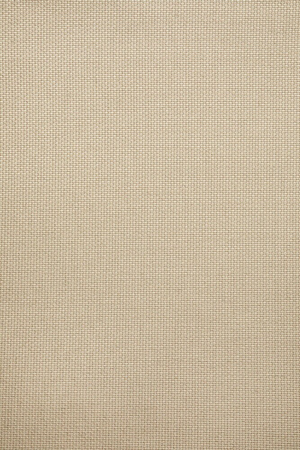 Minimalist Outdoor Lounge Chair | Ethnicraft Safari | Oroa.com