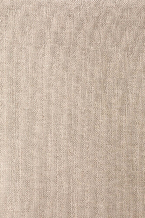 Cream Lounge Chair | Ethnicraft Ease | Oroa.com