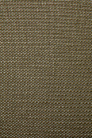 Adjustable Outdoor Lounger Cushion | Ethnicraft Jack | Oroa.com