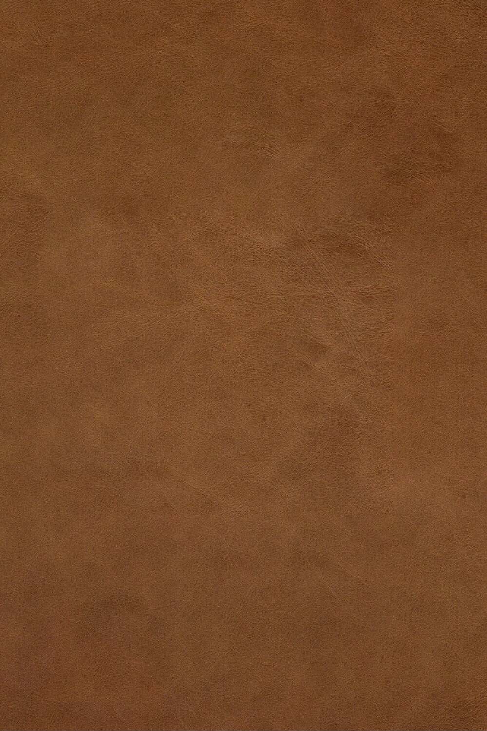 Brown Leather Modular Sofa | Ethnicraft N701 | Oroa.com