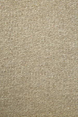 Upholstered Curved Lounge Chair | Ethnicraft Eye | Oroa.com