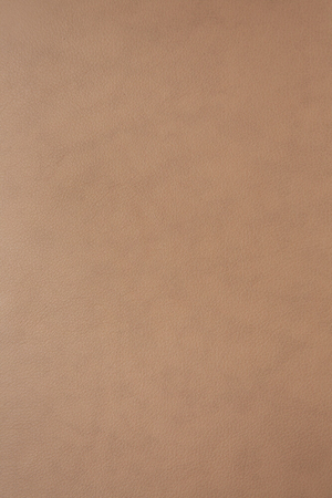 Cushioned Scandinavian Dining Chair | Ethnicraft Bok | Oroa.com