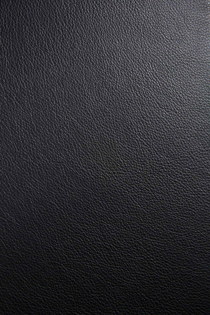 Oak Dining Chair | Ethnicraft Bok | Oroa.com