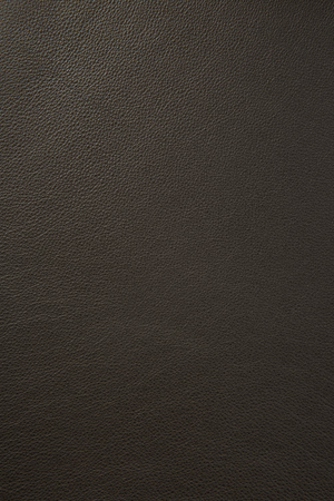 Varnished Oak Classic Dining Chair | Ethnicraft Bok | Oroa.com