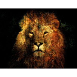   Jungle King Headshot Photographic Art | Oroa.com