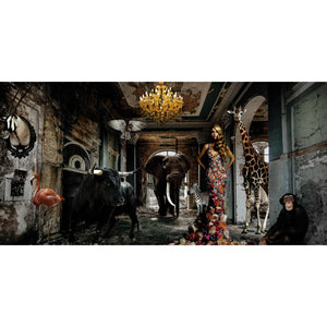   Beasts & Lady Photographic Art | Oroa.com
