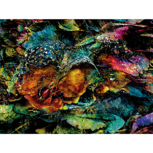   Multicolored Modern Abstract Art | Oroa.com