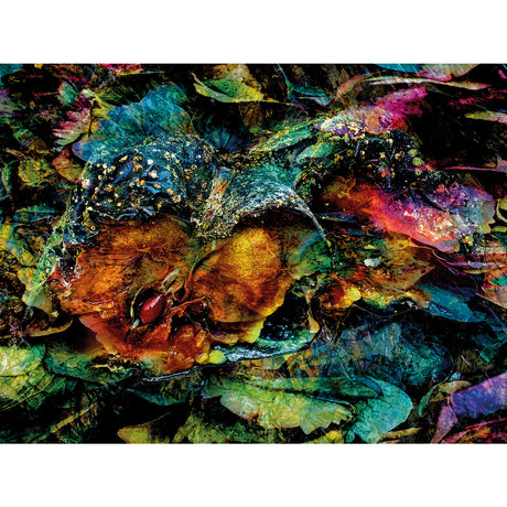    | Oroa.com