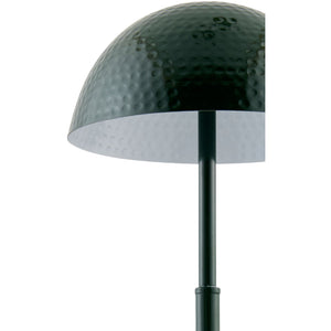   Metal Dome Accent Table Lamp | Oroa.com