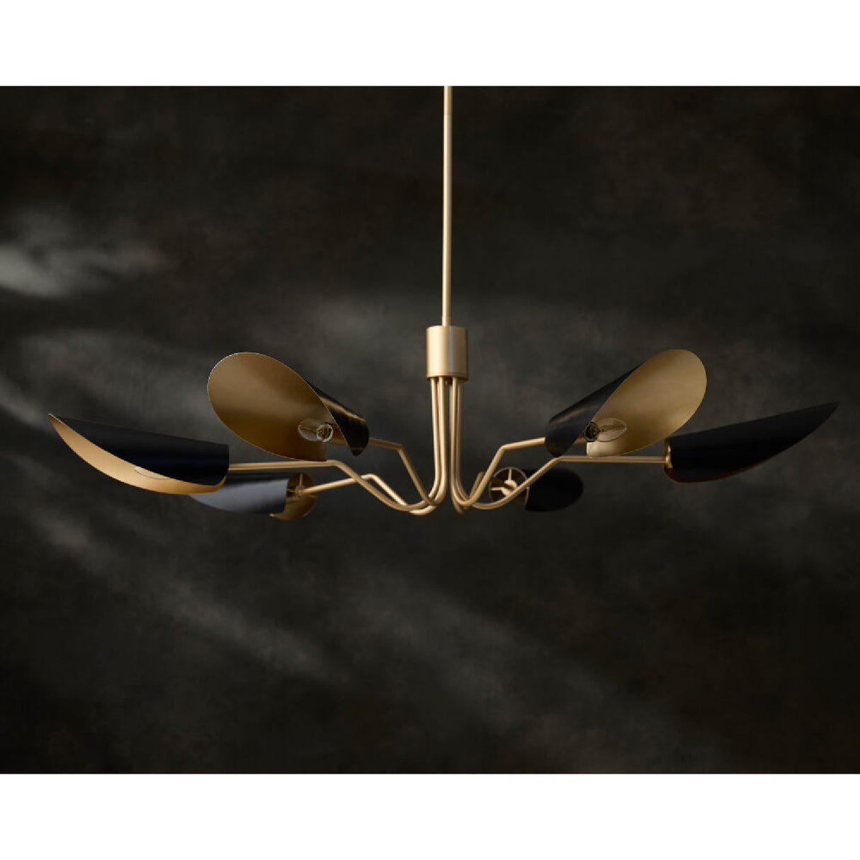   Modern European furniture - Black Metal Shades 6-Light Chandelier - www.oroa.com | Oroa.com