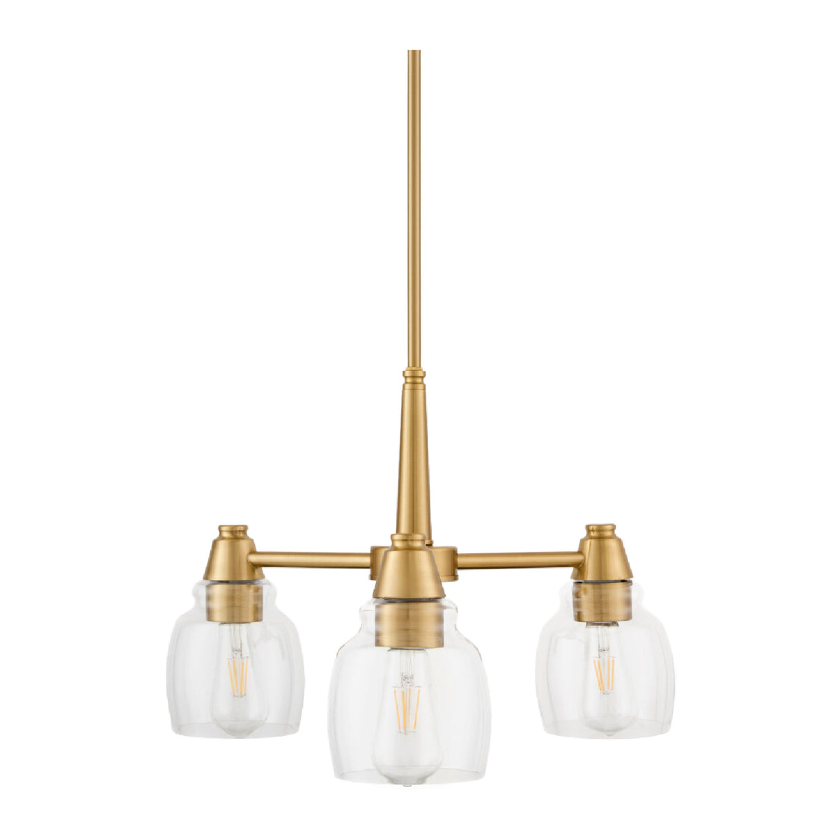   Iron Framed Glass Chandelier | Oroa.com