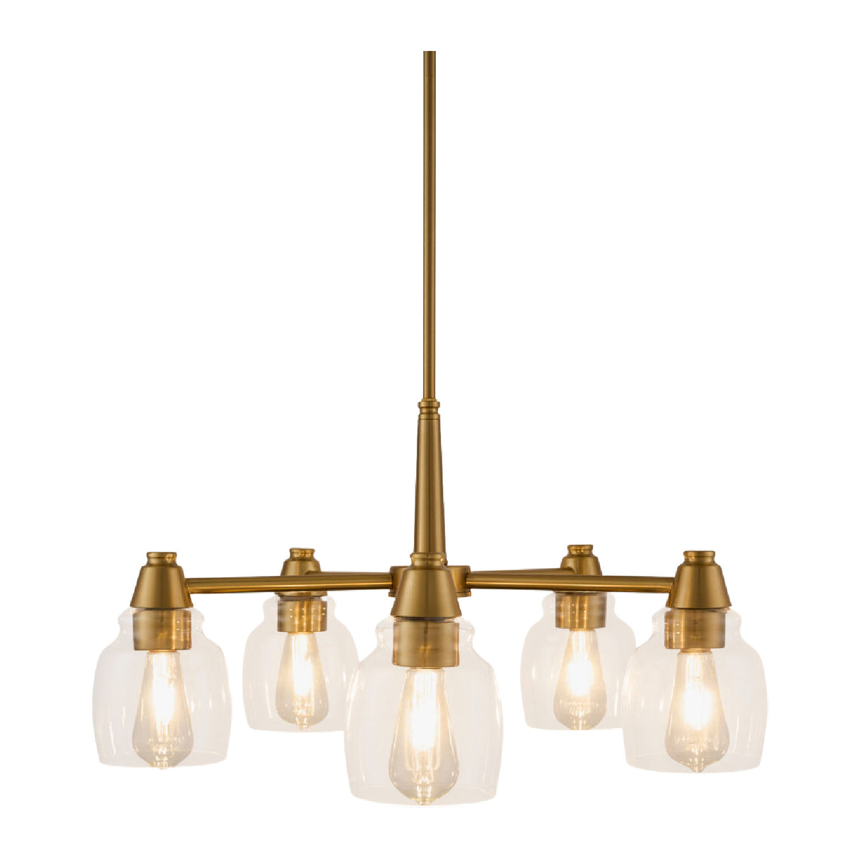   Iron Framed Glass Chandelier | Oroa.com