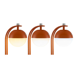   Painted Iron Modern Table Lamp | Oroa.com