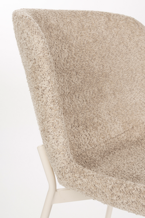 Brown Shell Dining Chairs (2) | DF Marion | Oroa.com