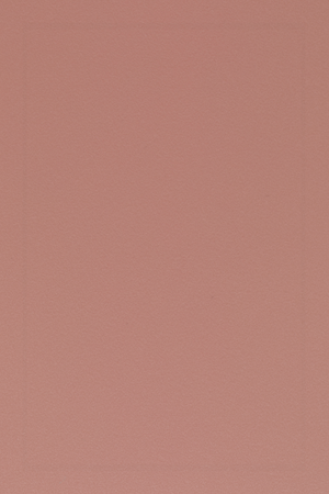 Curved Back Dining Chairs (2) | DF Gigi | Oroa.com