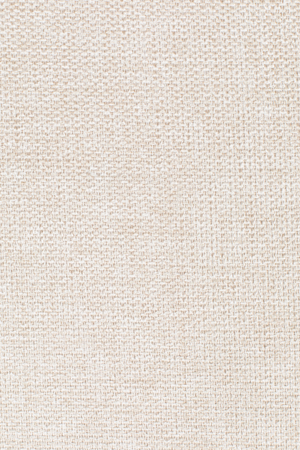 Modern Upholstered Dining Chairs (2) | DF Lionel | OROA.com