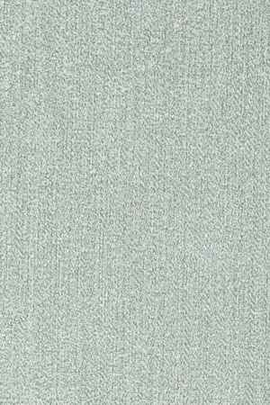 Light Green Dining Chairs (2) | DF Aspen | OROA.com