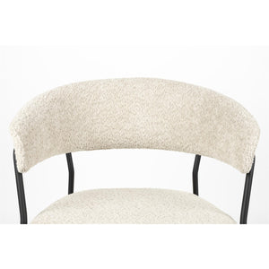   Modern European furniture - Curved-Back Dining Armchairs (2) - www.oroa.com | Oroa.com